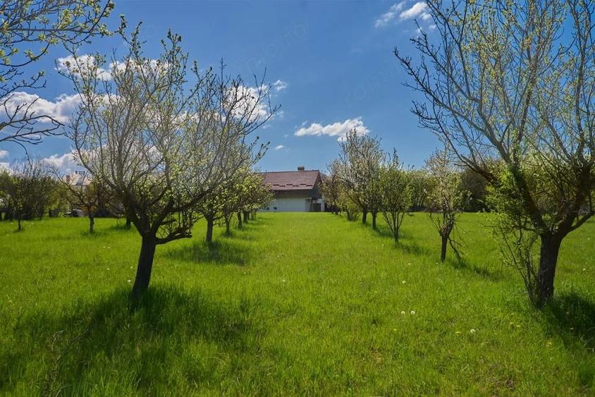 Casă cu 4 camere cu Teren 9915 Mp în Central