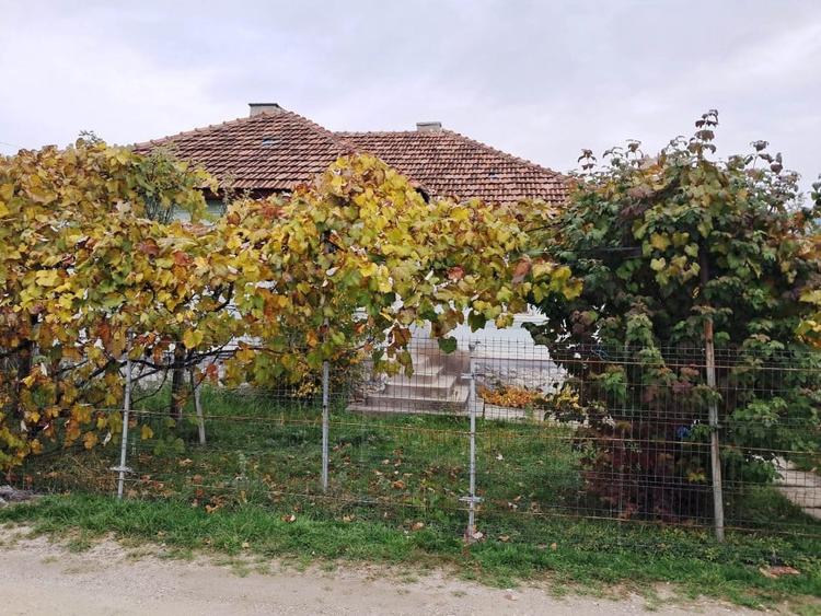 Casă individuală cu 4 camere cu Teren 1395 Mp în Baia de Fier