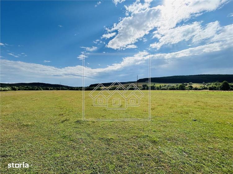 Teren intravilan, 5861 mp - Tocile - 5