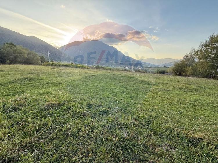 Teren Construcții intravilan de 646 mp, în Tohănița