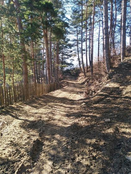 Teren de 765 mp, în Pârâul Pântei