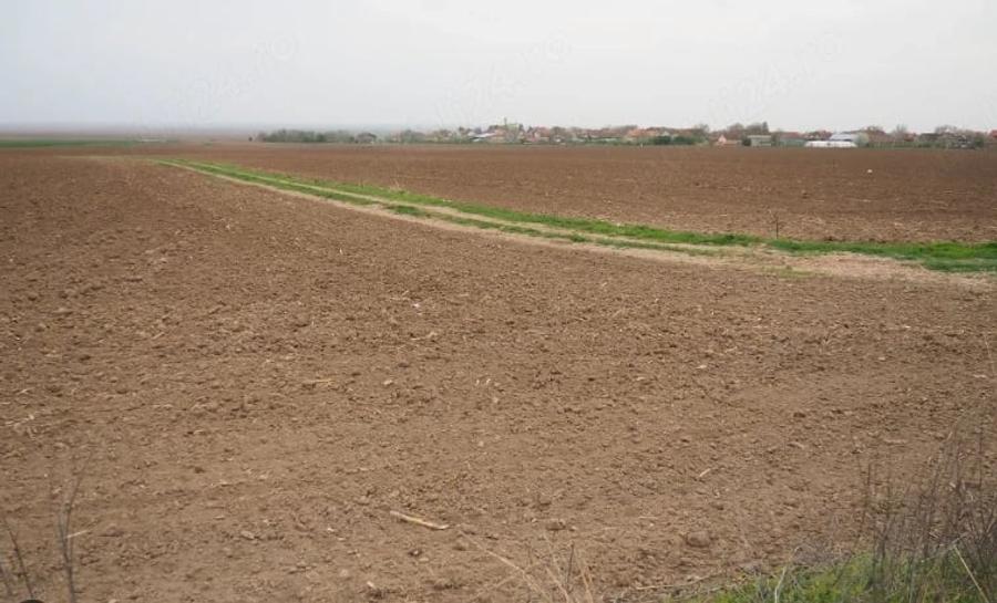 Teren de 10000 mp, în Umbrărești