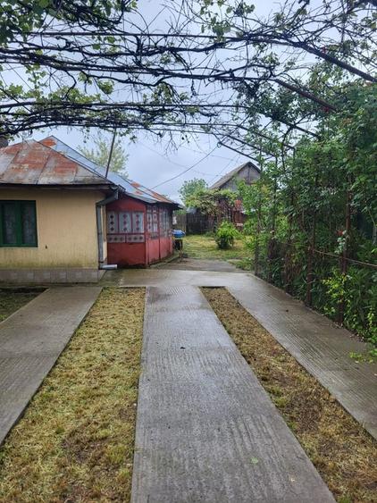 Casă cu 3 camere cu Teren 2200 Mp în Central