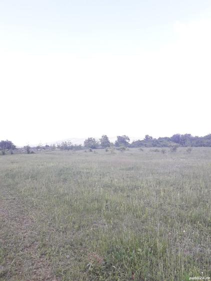 Teren de 2557 mp, în Iazu