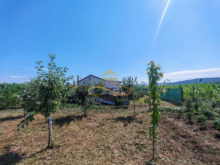 Casă individuală cu 1 camere cu Canalizare în Traian