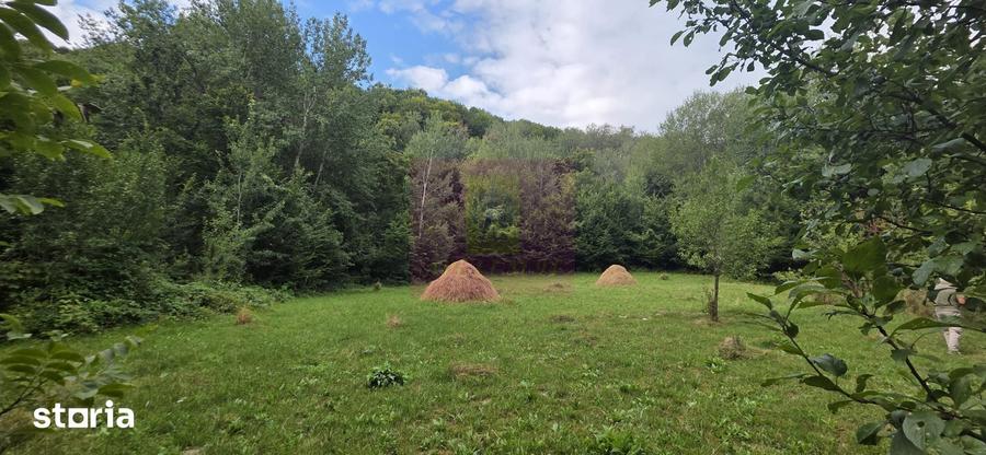 Teren de 15000 mp, în Telega