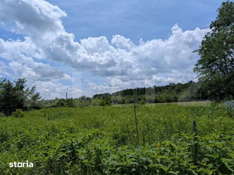 Teren de 12700 mp, în Priseaca