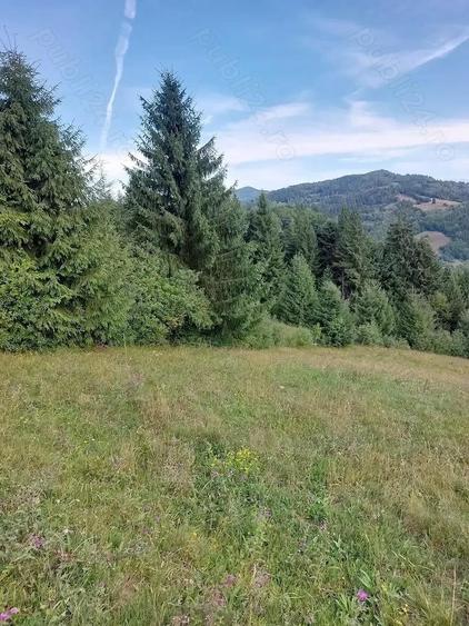 teren de vanzare in Comuna Vadu Motilor 5000mp pret 2,5euro mp - 2