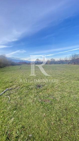 Teren Construcții intravilan de 13500 mp, în Vest