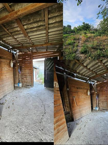 Casă cu 3 camere cu Teren 1440 Mp în Bocsig