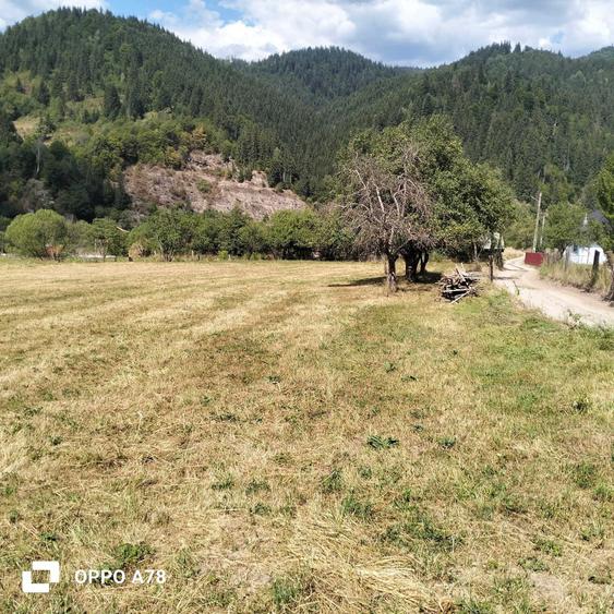 Casă cu 3 camere în Neagra