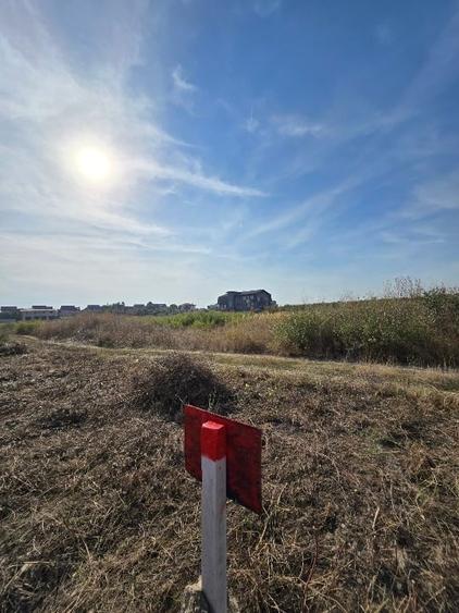Teren agricol intravilan de 5145 mp, în Mogoșoaia
