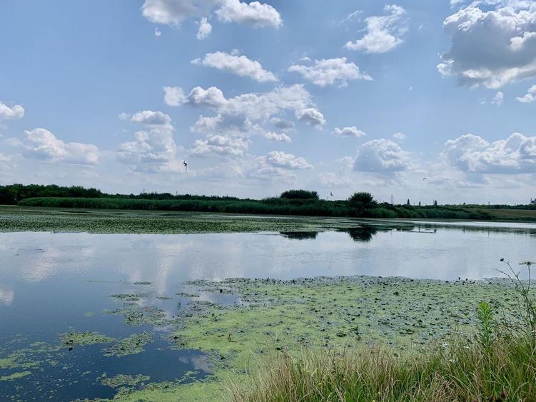 Teren agricol intravilan de 62000 mp, în Crevedia