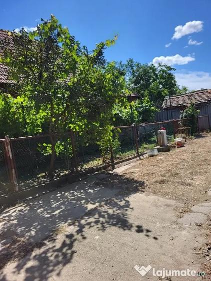 Casă cu 4 camere în Banloc