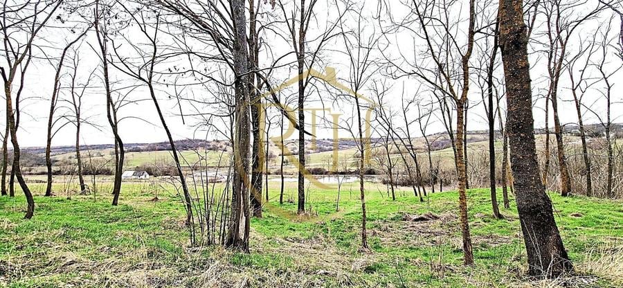 Teren agricol extravilan de 25000 mp, în Secaș