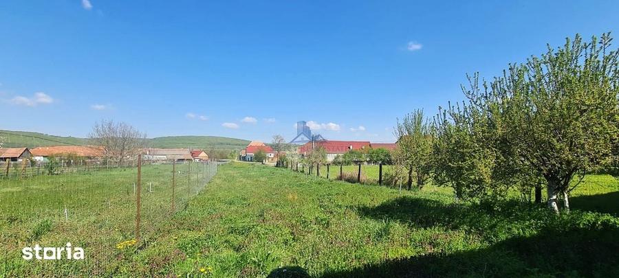 Casa de vanzare \ Hosman - Sibiu - 17