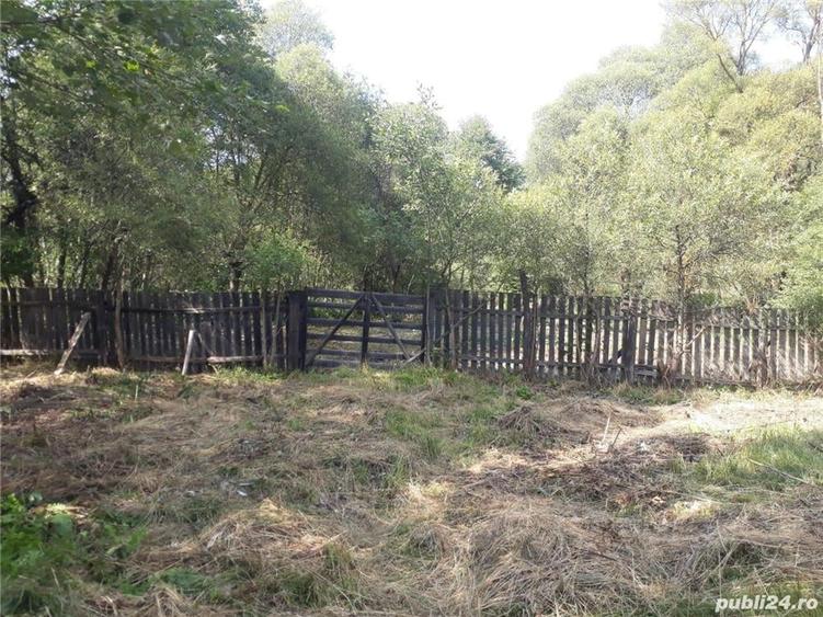 Casă cu 6 camere cu Teren 4043 Mp în Șaru Dornei