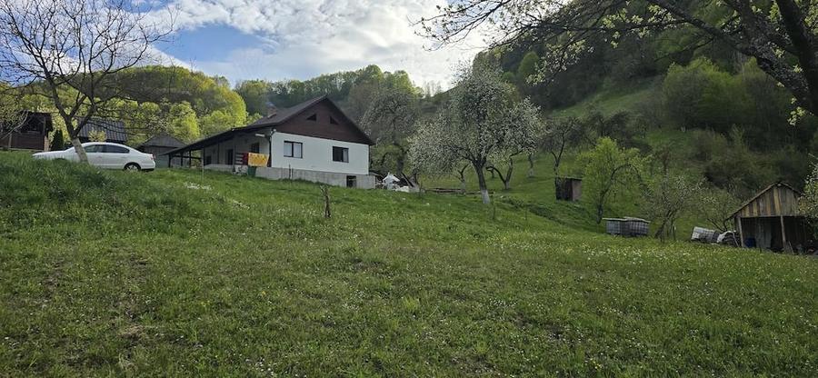 Teren de 30000 mp, în Leordina