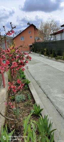 Casă cu 6 camere în Negreni