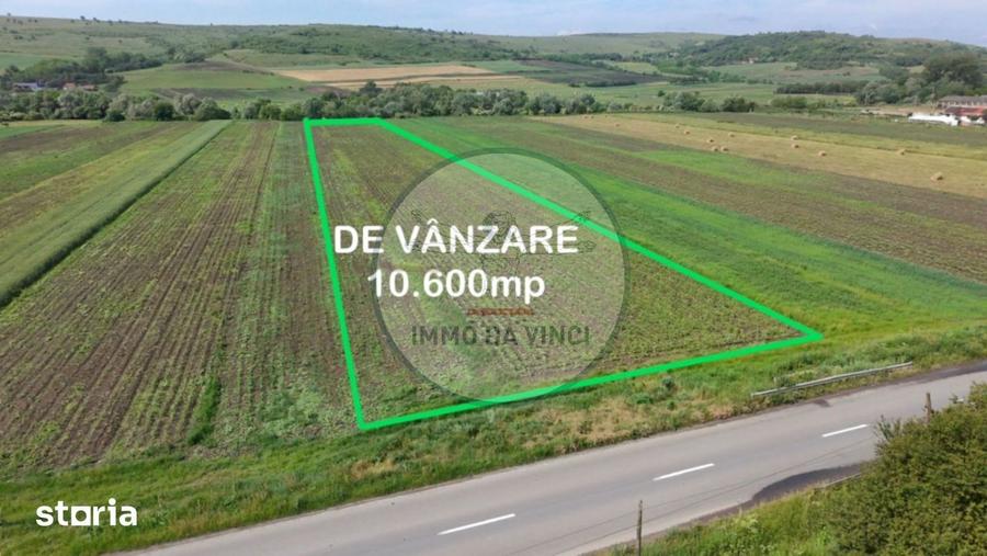 Teren de 10670 mp, în Borșa