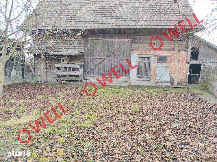Proprietate cu 2 case de vanzare in Tama?falau! - 5