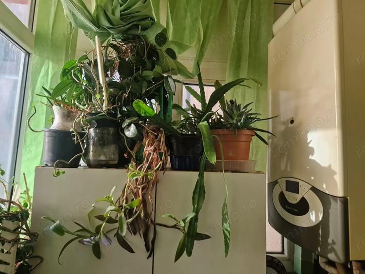 Apartament cu 2 camere decomandat în Inel I