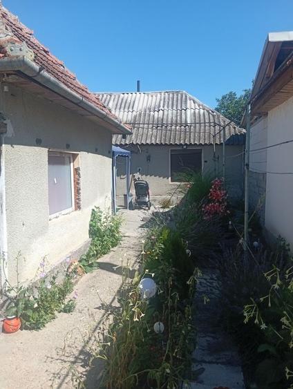 Vand casa in ineu doua case in curte - 5