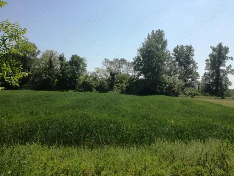 Teren de 5390 mp, în Vladimir
