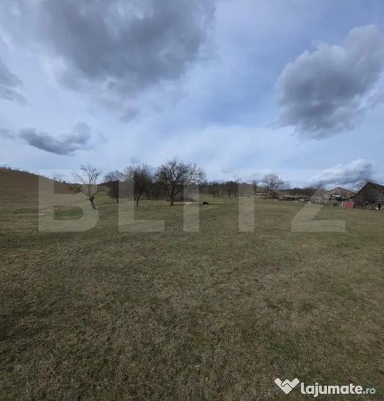 Teren intravilan de vanzare, 28 de ari, zona Herina, Bistrit - 3