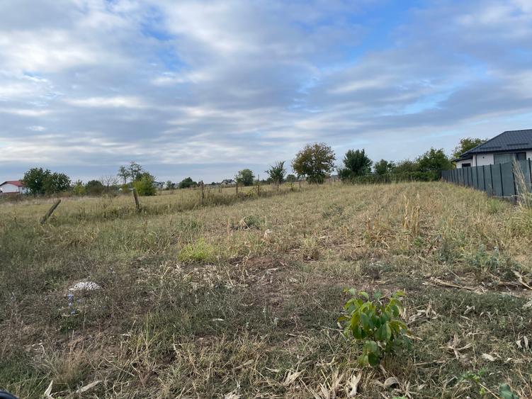 Teren Construcții extravilan de 995 mp, în Moara Vlăsiei