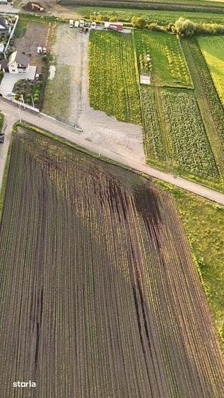 Teren de 10600 mp, în Central