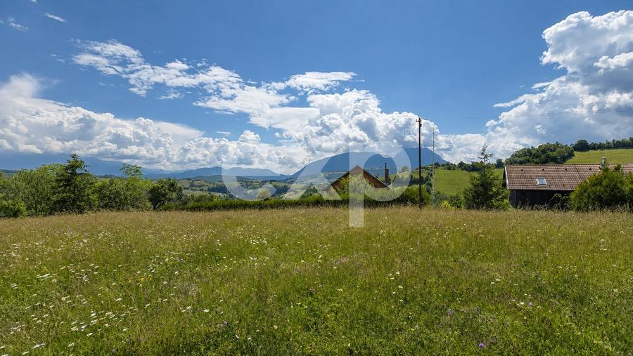 Teren agricol extravilan de 8544 mp, în Poiana Mărului