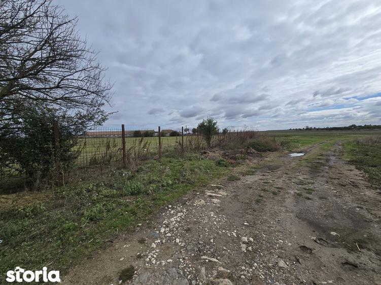 Comuna Amzacea- sat G.Scari?oreanu -Ferma zootehnica , teren 5,1ha - 7