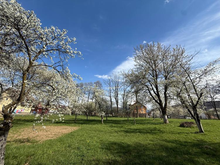 Teren Construcții intravilan de 1355 mp, în Bran
