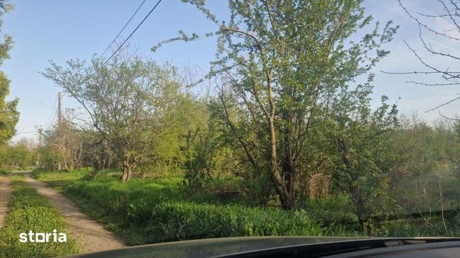 Teren de 1800 mp, în Iepurești