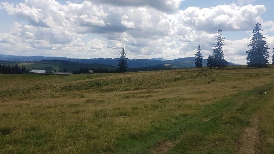 Teren de 160000 mp, în Breaza