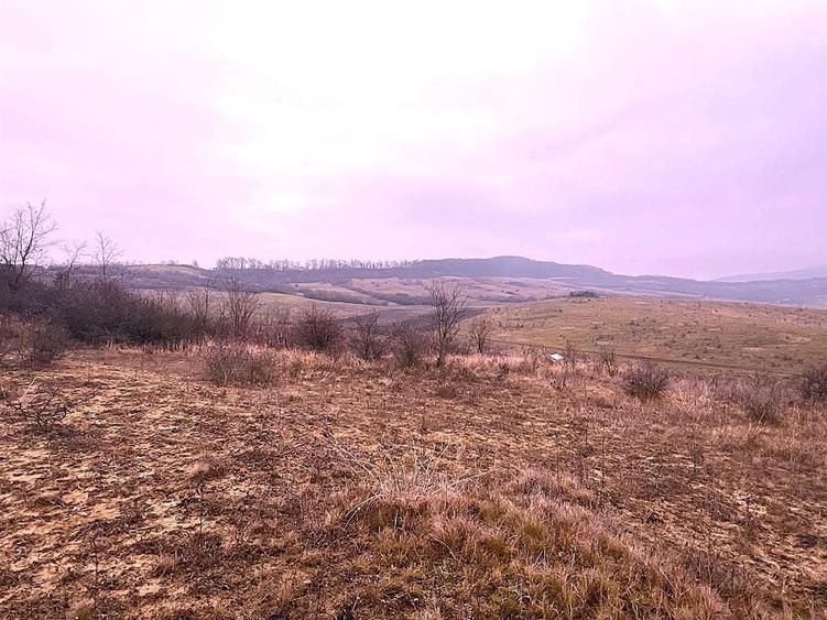 Teren agricol extravilan de 905 mp, în Sigmir