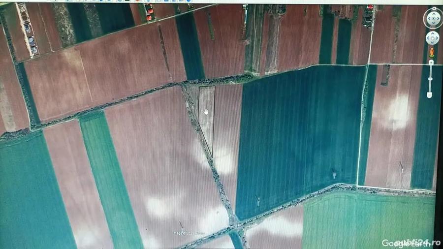 Teren de 8000 mp, în Moara Vlăsiei