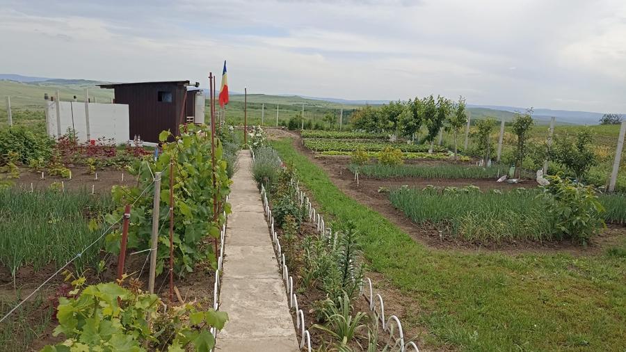 Teren Construcții intravilan de 470 mp, în Rediu