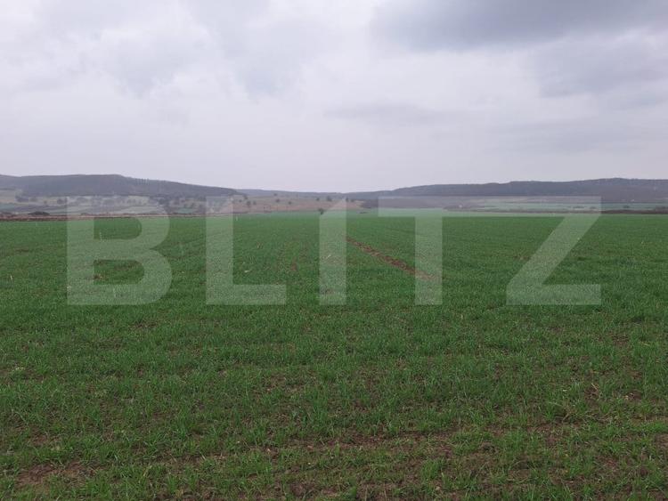 Teren extravilan de 10000 mp, în Cugir