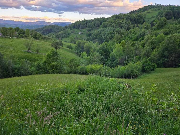 Teren de 1940 mp, în Măgura