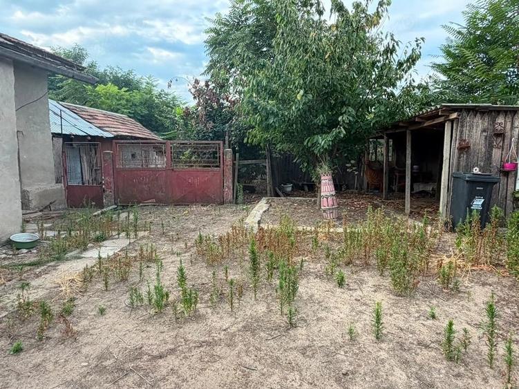 Casă cu 4 camere cu Teren 3200 Mp în Drăgotești