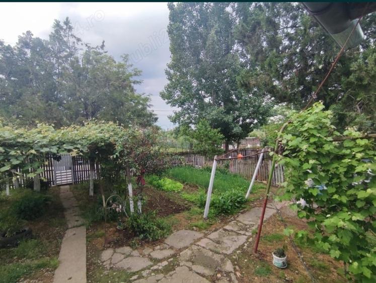 Casă cu 2 camere în Central
