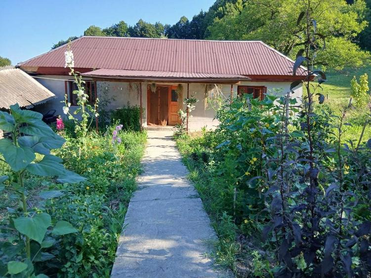 Casă cu 3 camere în Vâlcani