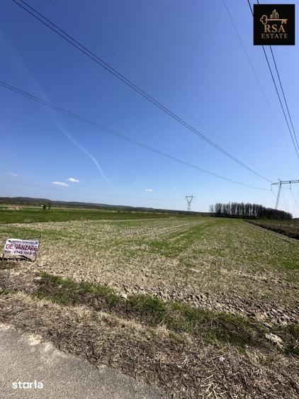 Teren de 4762 mp, în Stoilești