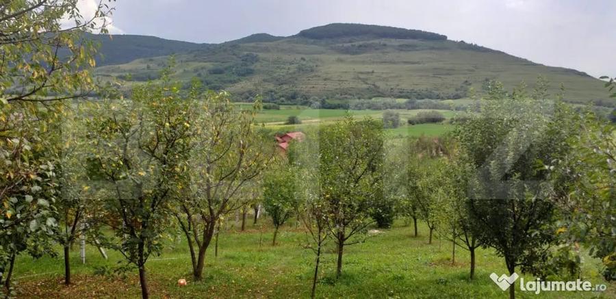 Teren în Central