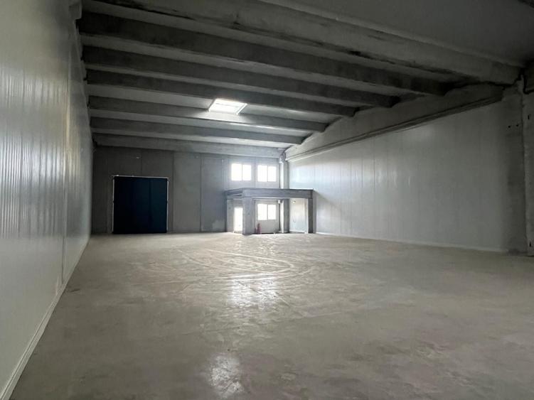 Spațiu industrial, de 885 mp, în Sânandrei