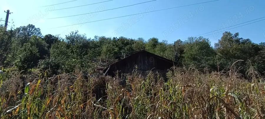 Casă cu 3 camere cu Teren 2681 Mp în Frumușelu