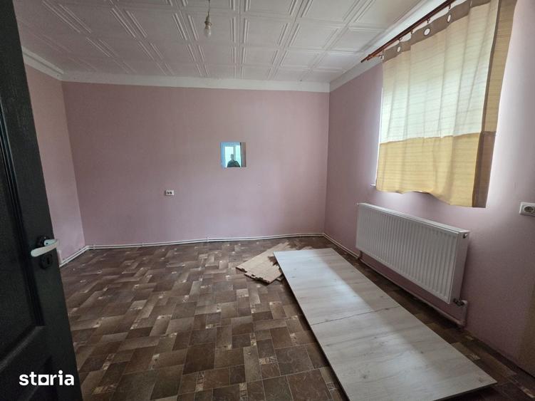 Petricani, strada Steaua Rosie, Lacul Plumbuita, 600 mp, utilitati - 5