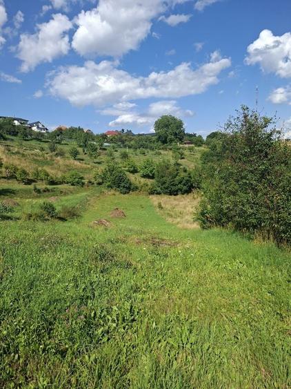 Teren Construcții intravilan de 1605 mp, în Feleacu